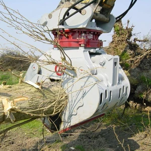 ba3db6e2423a1ff0adc8f3752152100b_large